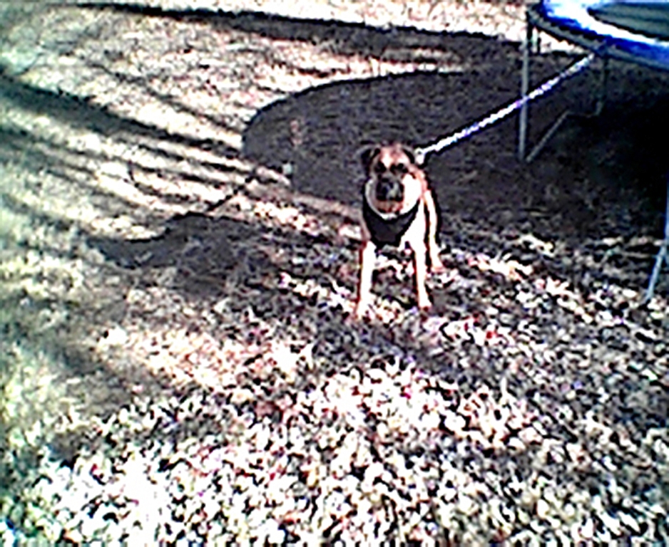 cleo2.jpg